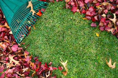 Neighborhood Lawn care in Vancouver, WA.  Lawn with leaves