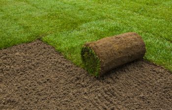 Neighborhood Lawn care in Vancouver, WA.  Sod installation